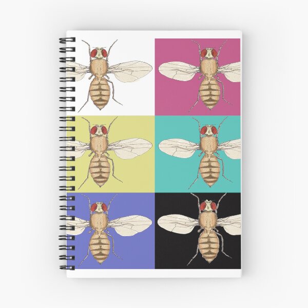 Item preview, Drosophila melanogaster designed and sold by deeptitrivedi.