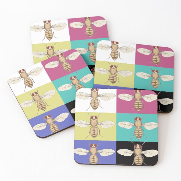 Item preview, Drosophila melanogaster designed and sold by deeptitrivedi.
