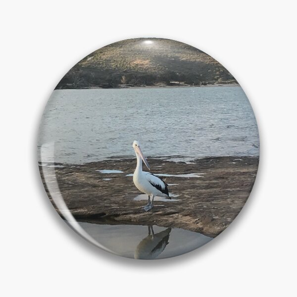 Item preview, Australia - Kalbarri - Pelican Reflection designed and sold by Solveig Winn.