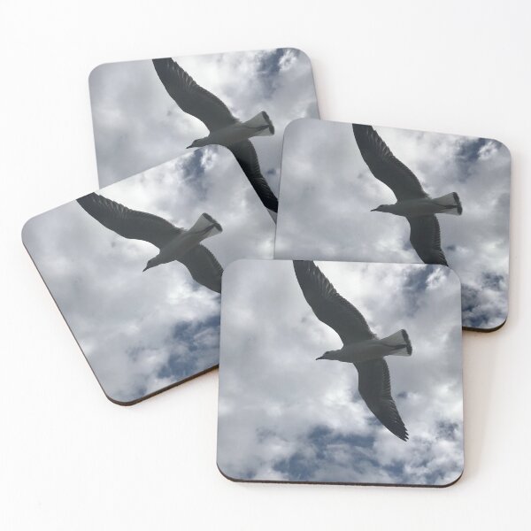 Item preview, Australia - Kalbarri - Gull designed and sold by Solveig Winn.
