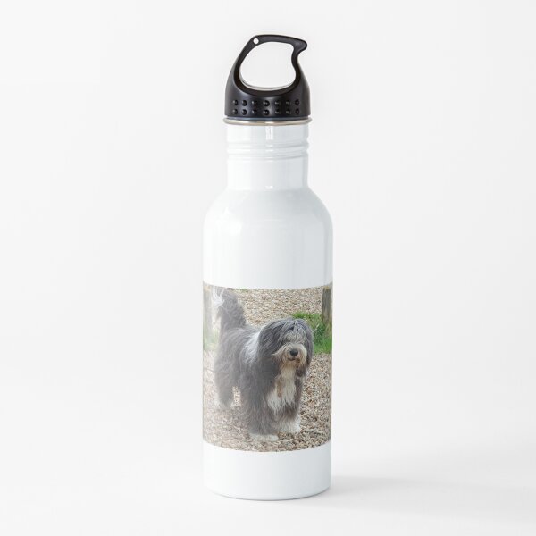 Bearded Collie Beachcombing - Beardie on the Beach Water Bottle
