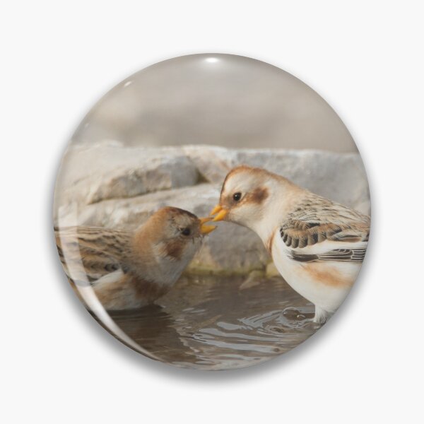 Item preview, Snowbuntings kiss designed and sold by Derren Jones.