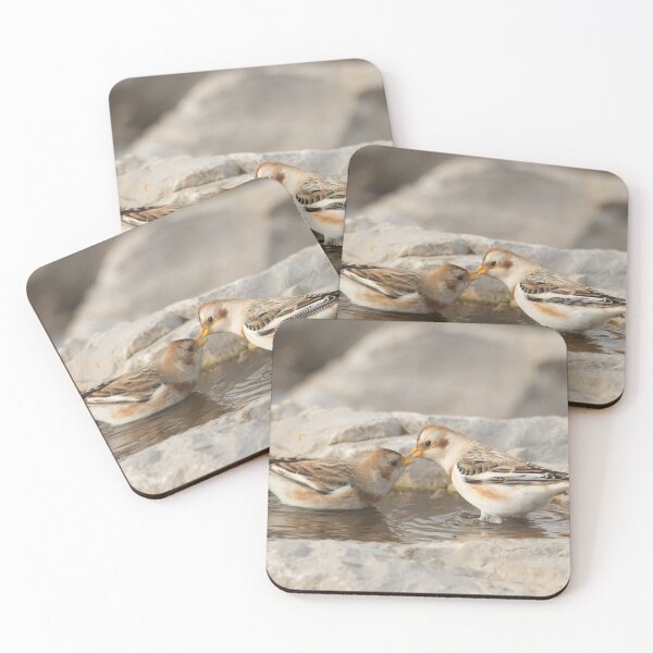 Item preview, Snowbuntings kiss designed and sold by Derren Jones.