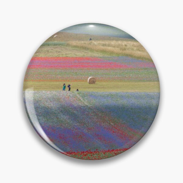 Item preview, The flowering of Castelluccio designed and sold by pietrofoto.