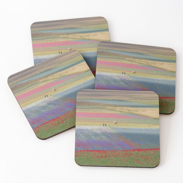 Item preview, The flowering of Castelluccio designed and sold by pietrofoto.