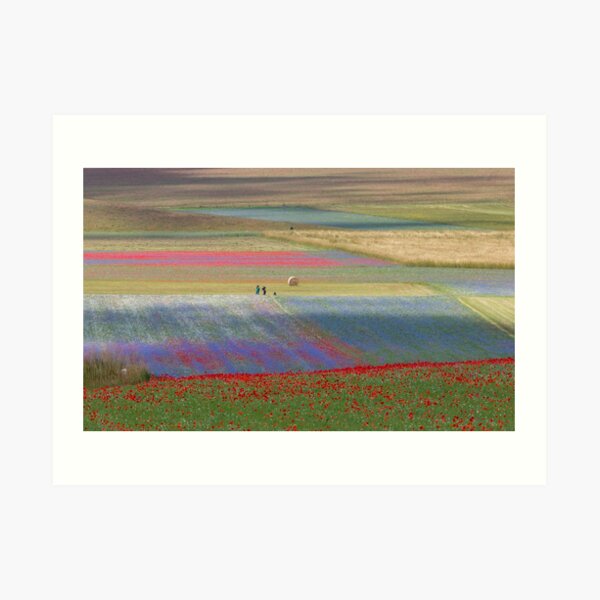 The flowering of Castelluccio Art Print