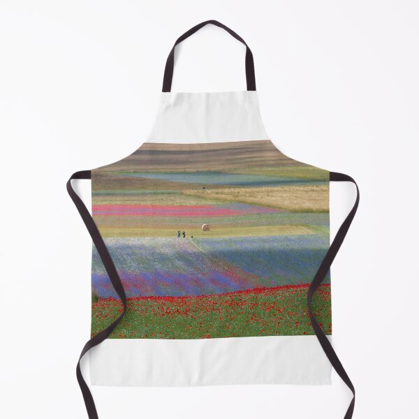 Item preview, The flowering of Castelluccio designed and sold by pietrofoto.