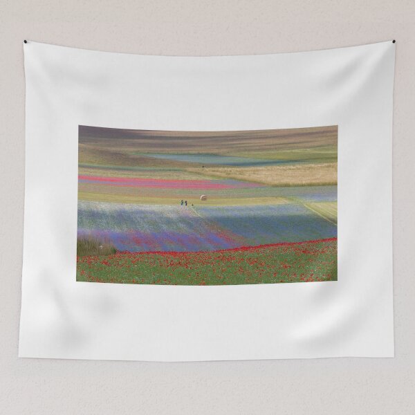 Item preview, The flowering of Castelluccio designed and sold by pietrofoto.