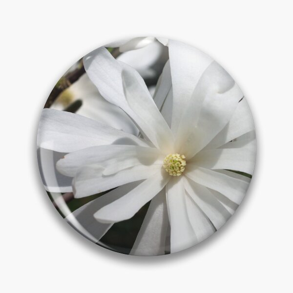 Item preview, Star Magnolia designed and sold by Sybille-Yates.