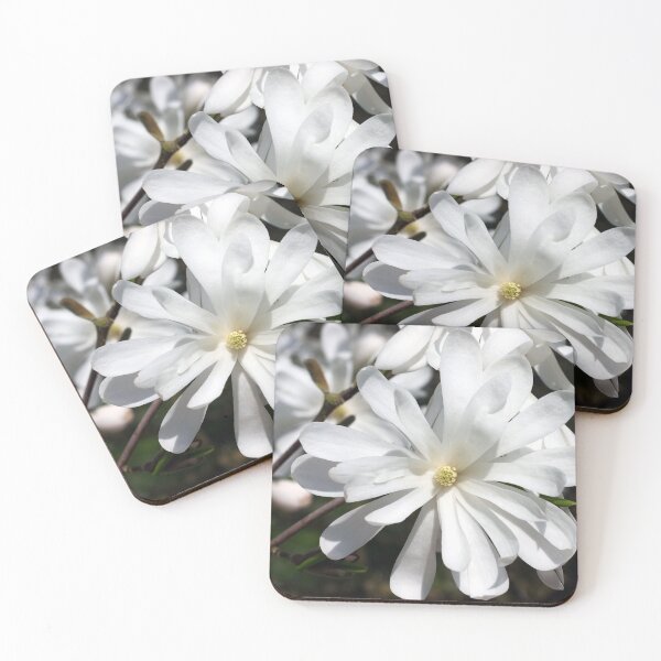 Item preview, Star Magnolia designed and sold by Sybille-Yates.