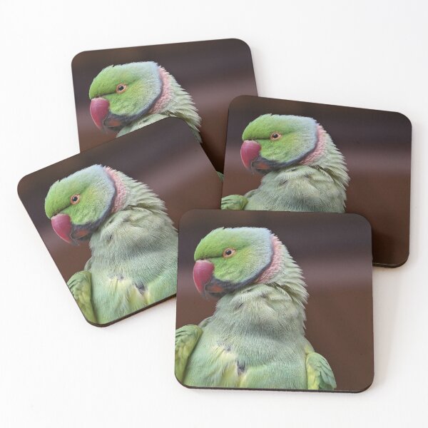 Item preview, Rose-ringed Parakeet posing for photo designed and sold by hendrikspix.
