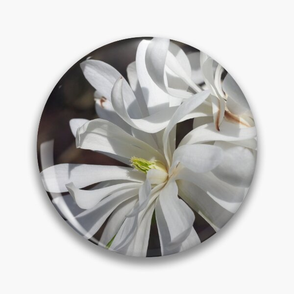 Item preview, Star Magnolia designed and sold by Sybille-Yates.