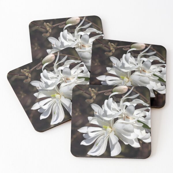 Item preview, Star Magnolia designed and sold by Sybille-Yates.