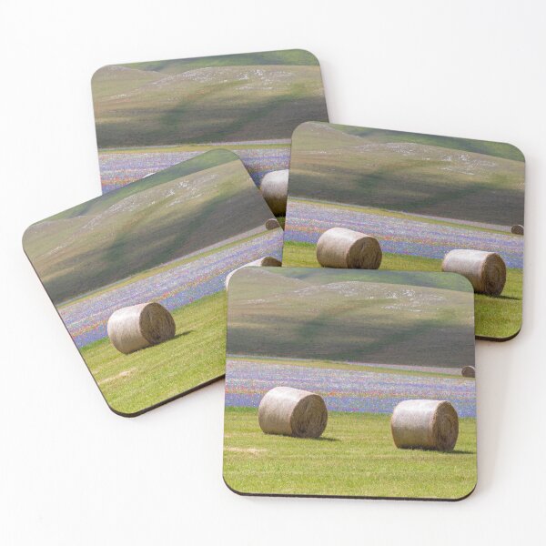 Item preview, Hay bales in Castelluccio designed and sold by pietrofoto.