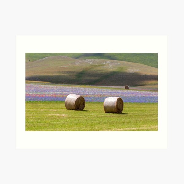 Hay bales in Castelluccio Art Print