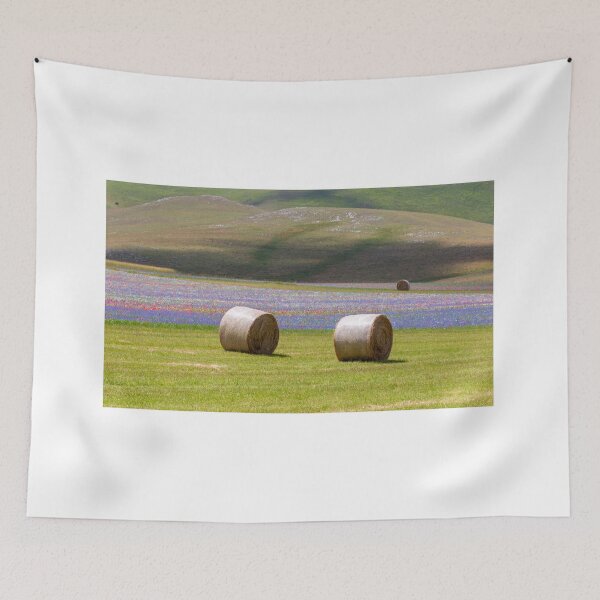 Item preview, Hay bales in Castelluccio designed and sold by pietrofoto.