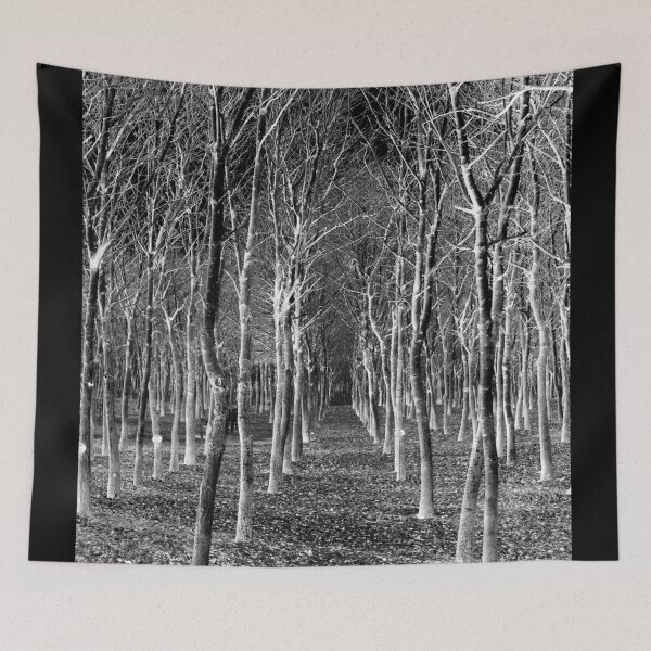 Item preview, Afforestation for the Nation designed and sold by Yampimon.