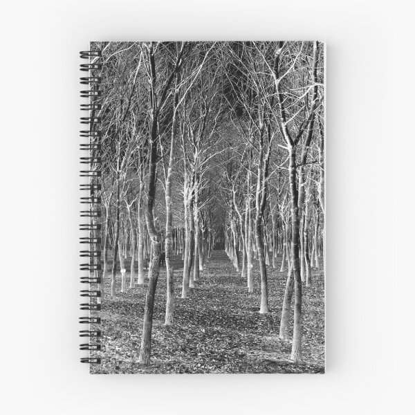 Item preview, Afforestation for the Nation designed and sold by Yampimon.