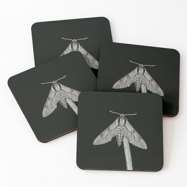 Item preview, Pine hawks designed and sold by NW-Photo-Art.