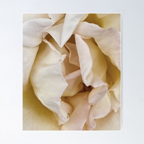Item preview, Cream rose detail designed and sold by Gerhanj.
