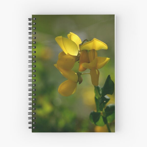 Item preview, Somewhere's Always a Glimmer of Sunshine designed and sold by SmoothBreeze7 | Liz Collet Photography.