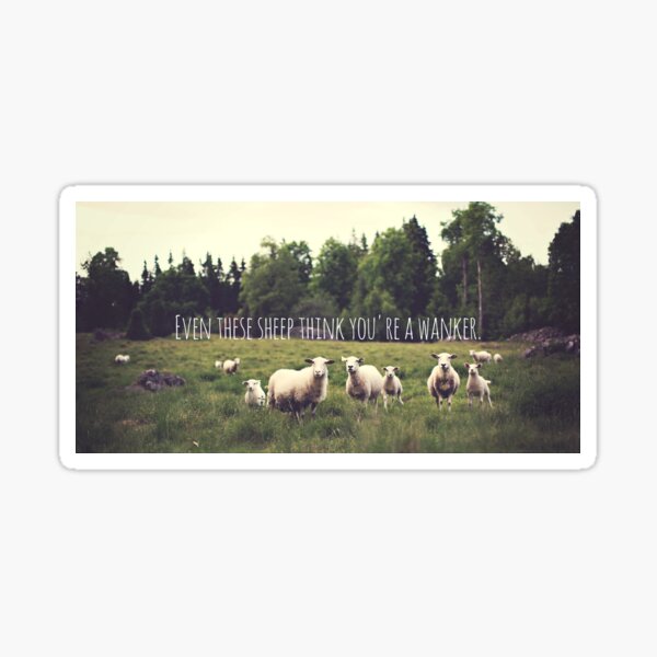 Sheep Sticker