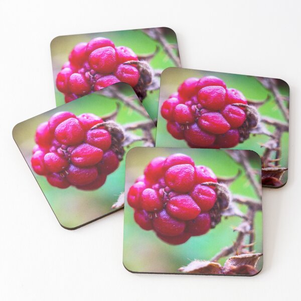 Item preview, Winter time berry designed and sold by shogan63.