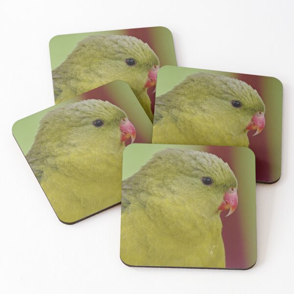 Item preview, Detailed Regent parrot close up  designed and sold by hendrikspix.