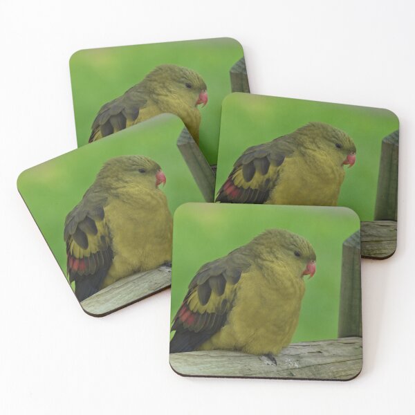 Item preview, Regent parrot sitting on a wooden fence designed and sold by hendrikspix.
