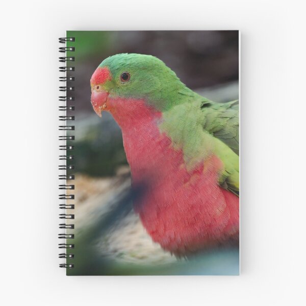 Item preview, Crossbreed parrot designed and sold by hendrikspix.