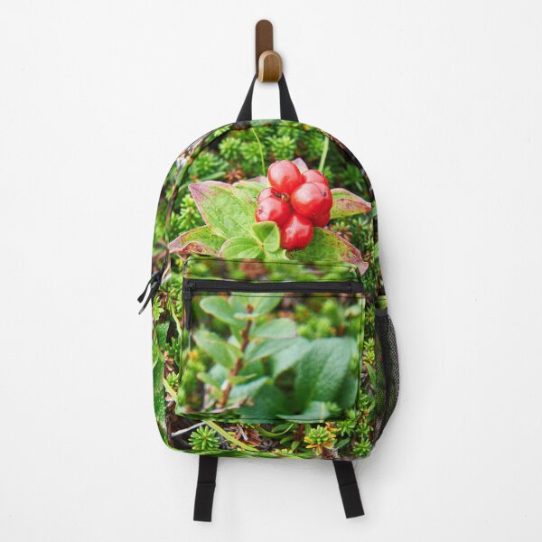 Item preview, "Дёрен шведский" "dwarf cornel or bunchberry" designed and sold by Andreas Koerner.