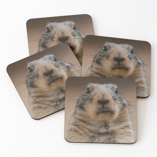 Item preview, Prairie dog designed and sold by Monika Hylmarová.