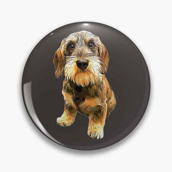 Item preview, Dachshund Wire Haired Beauty! designed and sold by ElegantCat.
