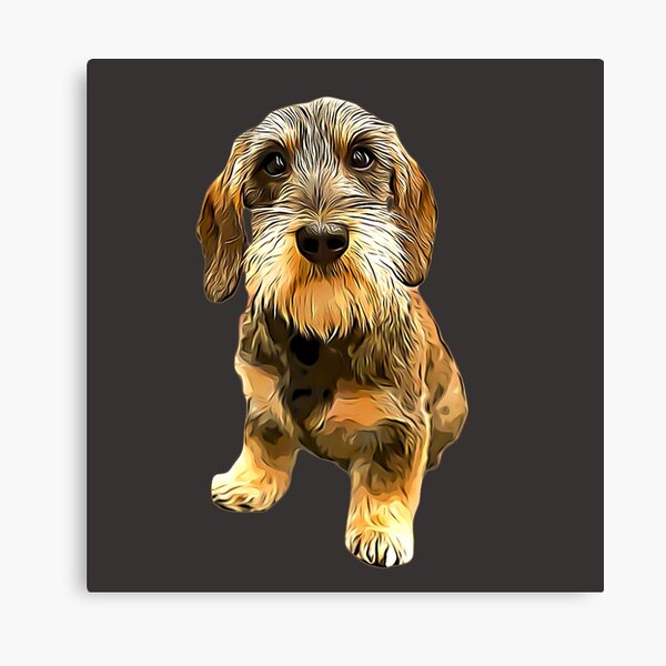 Item preview, Dachshund Wire Haired Beauty! designed and sold by ElegantCat.
