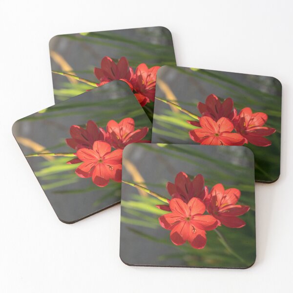 Item preview, Three Crimson River Lily Blooms - Exotic South African Beauties in a Garden designed and sold by Georgia Mizuleva.