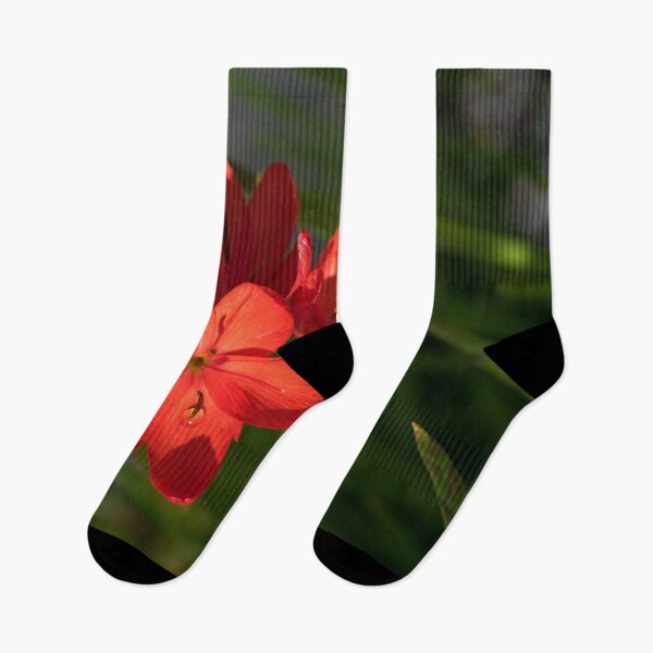 Item preview, Three Crimson River Lily Blooms - Exotic South African Beauties in a Garden designed and sold by Georgia Mizuleva.