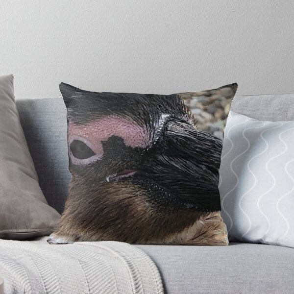 Item preview, Be My Penguin designed and sold by KMHPhotography.