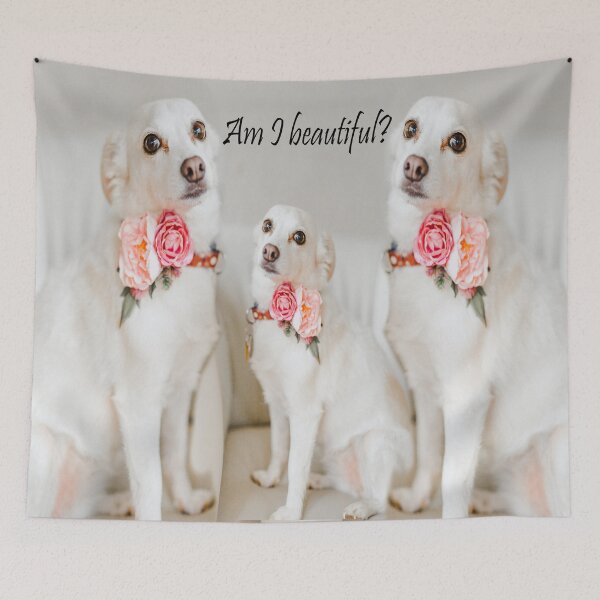 Item preview, Am I beautiful? designed and sold by BVCdesigns.
