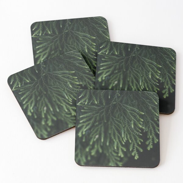 Item preview, Plante designed and sold by HJoPhotography.