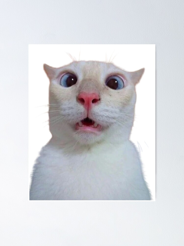Cat Face Meme - Download Free 3D model by juanjoalas (@juanjoalasmorel)  [1679f37]