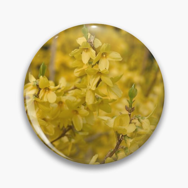 Item preview, Forsythia designed and sold by Sybille-Yates.