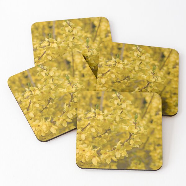 Item preview, Forsythia designed and sold by Sybille-Yates.