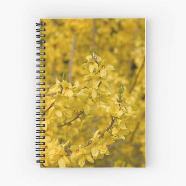 Item preview, Forsythia designed and sold by Sybille-Yates.