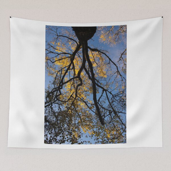 Item preview,  Yellows Poplar Oak Trees Portrait Full Frame Upward Centre Frame designed and sold by BadgerCastle.