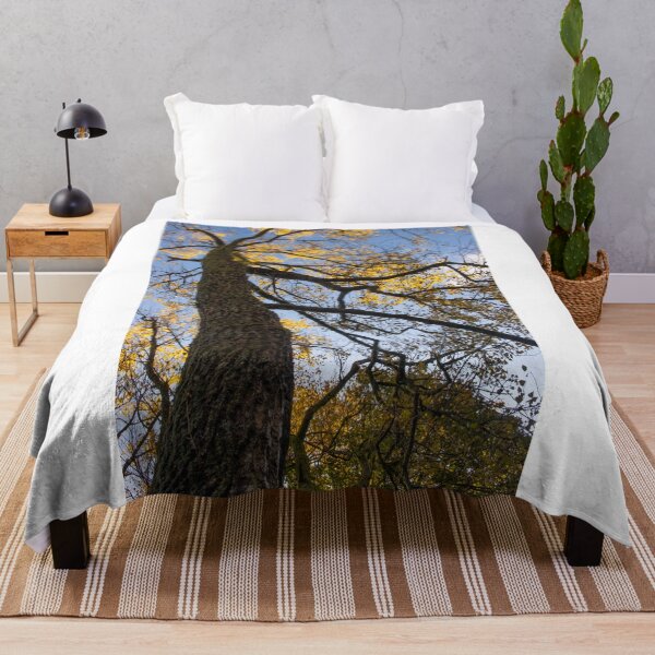 Item preview,  Yellow Poplar Oak Tree Portrait Upward View designed and sold by BadgerCastle.