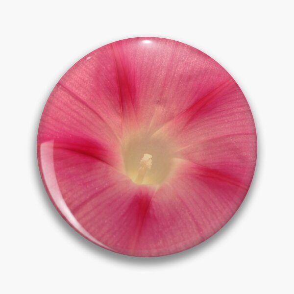 Item preview, Morning Glory designed and sold by Sybille-Yates.