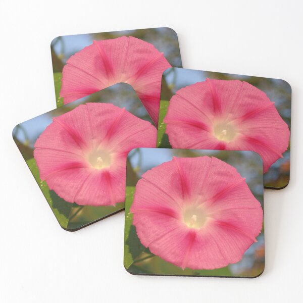 Item preview, Morning Glory designed and sold by Sybille-Yates.