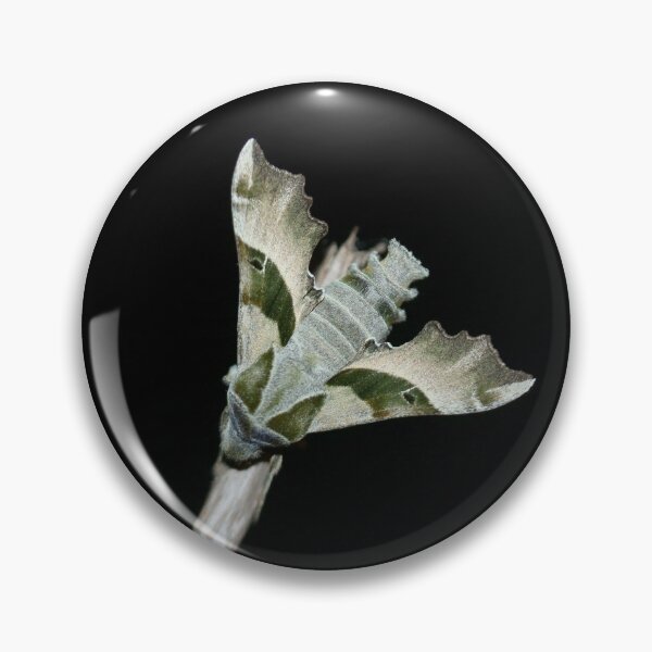Item preview, Evening primrose hawk designed and sold by NW-Photo-Art.