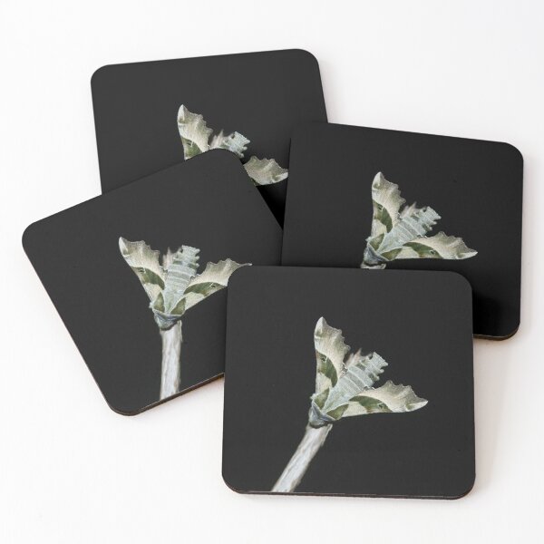 Item preview, Evening primrose hawk designed and sold by NW-Photo-Art.