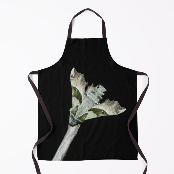 Item preview, Evening primrose hawk designed and sold by NW-Photo-Art.